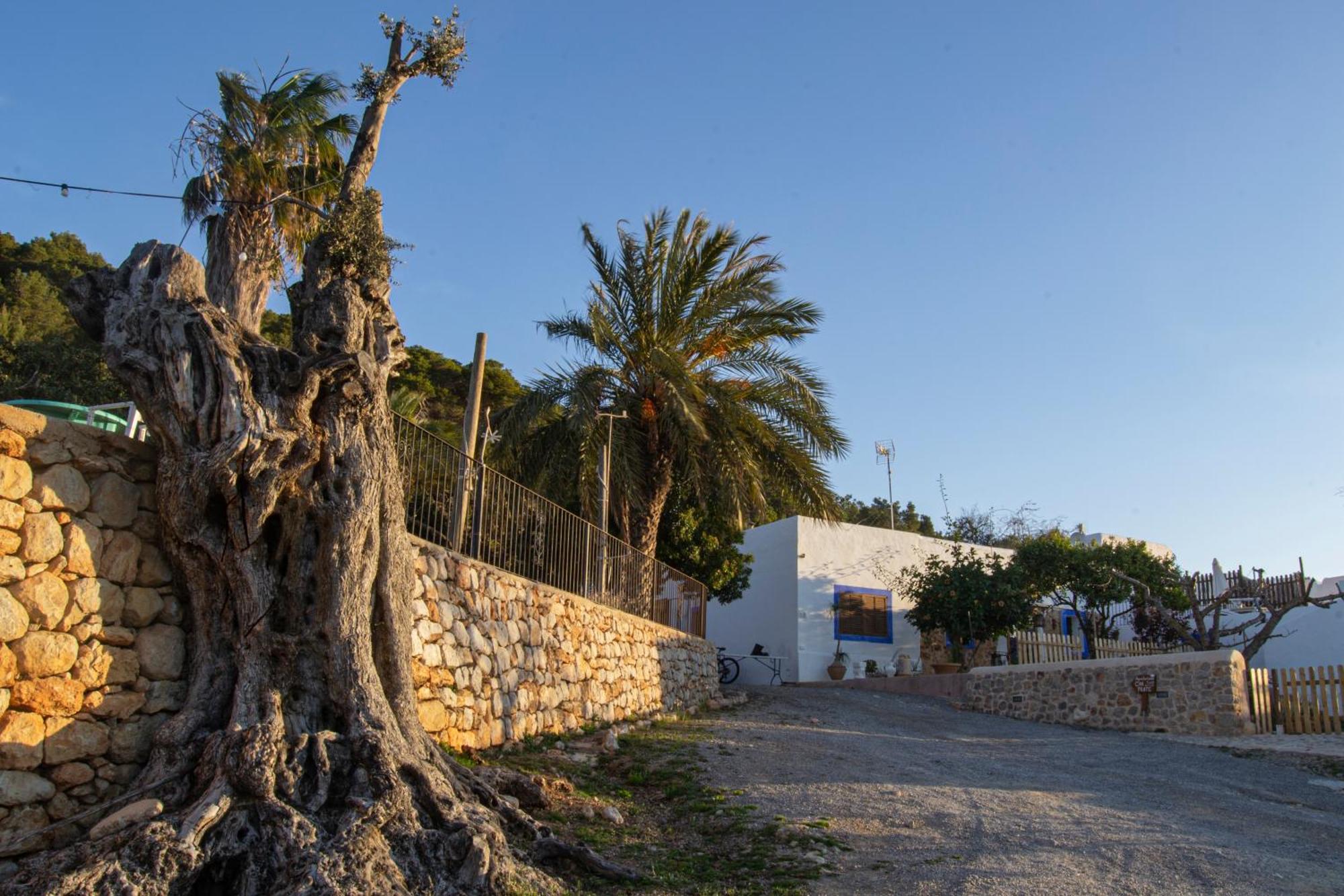 Agroturismo Rural Can Prats Santa Eulària des Riu Exterior foto